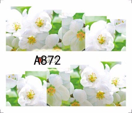 Стикер A872